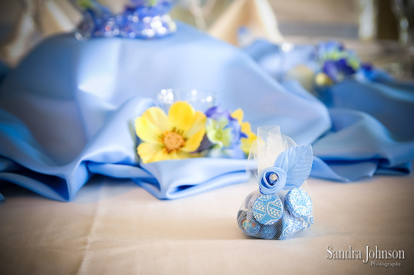 Best Tuscawilla Country Club wedding photographer - Sandra Johnson (SJFoto.com)